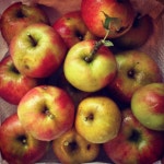 Howd you like them apples. | MotherWho | Blipfoto Howd you like them apples. | MotherWho