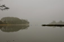Foggy Fish Farm | nell2803 | Blipfoto Foggy Fish Farm | nell2803