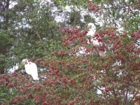 Wheres Wally? | bjlambourne | Blipfoto Wheres Wally? | bjlambourne