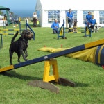 Strete Village Day | PicturePoems | Blipfoto Strete Village Day | PicturePoems