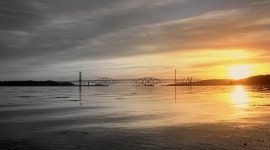 Apologise?! Im not too sure I can.... | pgv | Blipfoto Apologise?! Im not too sure I can.... | pgv
