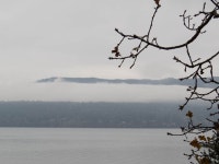 Typical | RoseWarrior | Blipfoto Typical | RoseWarrior