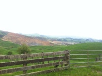 Tiki tour | Alycoo | Blipfoto Tiki tour | Alycoo