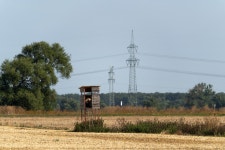 Tuesday, August 2, 2022 | Justtryin | Blipfoto Tuesday, August 2, 2022 | Justtryin