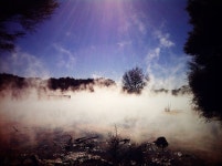 A picture hides a thousand smells | MrsScarf | Blipfoto A picture hides a thousand smells | MrsScarf