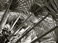 Patterns in the palms | Tickytocky | Blipfoto Patterns in the palms | Tickytocky