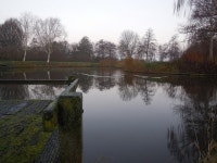 Peaceful... | powerplanter | Blipfoto Peaceful... | powerplanter