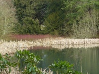 China Pond, Wallington, Northumberland | SMJames | Blipfoto China Pond, Wallington, Northumberland  | SMJames
