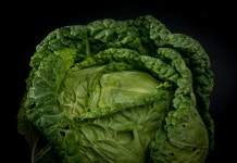 A Cabbage | Meandertall | Blipfoto A Cabbage | Meandertall