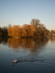 Orange Islet | maxellis | Blipfoto Orange Islet | maxellis