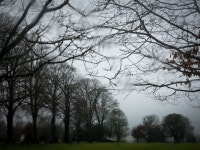 Rain | SkyAboveMe1 | Blipfoto Rain | SkyAboveMe1