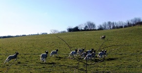 Running for touch | ceridwen | Blipfoto Running for touch | ceridwen