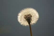 Clock enjoying the sun | koko | Blipfoto Clock enjoying the sun | koko