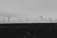 Catch up tomorrow x... | afishinapot | Blipfoto Catch up tomorrow x... | afishinapot