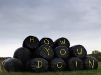 fine thanks! | SimonC | Blipfoto fine thanks! | SimonC