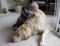 Happiness is a warm puppy | hoppydays | Blipfoto Happiness is a warm puppy | hoppydays