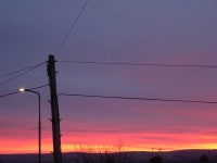 Morning Sky | Teasel | Blipfoto Morning Sky | Teasel