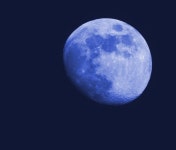 Blue Moon | Tigger101 | Blipfoto Blue Moon | Tigger101