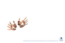 Print Advert By : Hand kitten | Ads of the World™