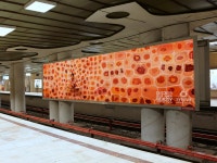 Synevo Medical Labs Outdoor Advert By Rusu+Bortun Brand Growers: The Inner Beauty Exhibition, 4 | Ads of the World™