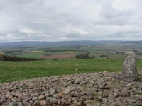 Walk Report - Hill of Garvock, and loads of Cows! • Walkhighlands Walk Report - Hill of Garvock, and loads of Cows!
