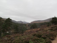 Walk Report - 1st walk in the Cairngorms • Walkhighlands Walk Report - 1st walk in the Cairngorms