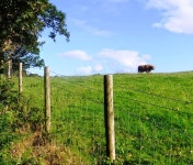 Walk Report - Ibuprofen, my new best friend • Walkhighlands Walk Report - Ibuprofen, my new best friend