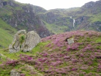 Walk Report - MY FIRST MONROE, CORRIE FEE - Mayar and Driesh • Walkhighlands Walk Report - MY FIRST MONROE, CORRIE FEE - Mayar... 