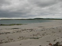 Walk Report - Orkneyfinella Saga 6 - Castle O Burrians puffins • Walkhighlands Walk Report - Orkneyfinella Saga 6 - Castle O... 
