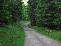 Walk Report - Overnight in Glen Tilt 20th/21st June. • Walkhighlands Walk Report - Overnight in Glen Tilt 20th/21st June.
