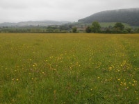 Walk Report - View Edge • Walkhighlands Walk Report - View Edge