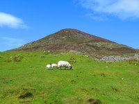 Walk Report - Climbing Ceapabhal, South Harris • Walkhighlands Walk Report - Climbing Ceapabhal, South Harris