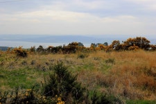 Walk Report - Great Glen Way day 5 - Drumnadrochit to Inverness • Walkhighlands Walk Report - Great Glen Way day 5... 