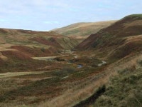 Walk Report - Queensberry from Mitchellslacks • Walkhighlands Walk Report - Queensberry from Mitchellslacks