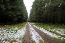 Walk Report - Delighted to get a Perthshire hill in this horrible week! • Walkhighlands Walk Report - Delighted to get a... 