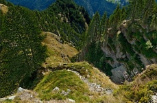 Walk Report - Höhenweg 2. Jungen - My favourite walk • Walkhighlands Walk Report - Höhenweg 2. Jungen  - My favourite walk