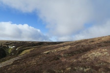Walk Report - Black dog versus white dog in the battle of the peat hags • Walkhighlands Walk Report - Black dog versus white... 