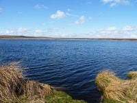 Walk Report - Summer Lodge Tarn and Blea Barf. • Walkhighlands Walk Report - Summer Lodge Tarn and Blea Barf.