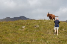 Walk Report - Wild Camp via the Low Sea of Quoich • Walkhighlands Walk Report - Wild Camp via the Low Sea of Quoich