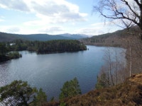 Walk Report - Tom aChoinich and Toll Creagach • Walkhighlands Walk Report - Tom aChoinich and Toll Creagach