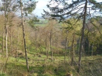 Search • Walkhighlands Search