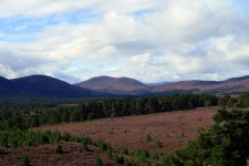 Walk Report - Hidden beauty south of Slochd • Walkhighlands Walk Report - Hidden beauty south of Slochd