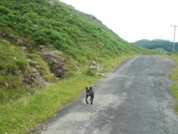 Walk Report - Ben Vorlich (Loch Lomond) & the muddy shorts! (Munro No.3) • Walkhighlands Walk Report - Ben Vorlich (Loch... 