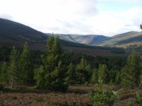 Walk Report - Walking the gorms with a fat American • Walkhighlands Walk Report - Walking the gorms with a fat American