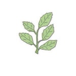 جوط. (@joo6) — 3877개 답변, 77153개 좋아요 | ASKfm جوط. (@joo6). Ask me anything on ASKfm