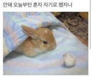 만주 (@manjukong) — 1837개 답변, 55개 좋아요 | ASKfm 만주 (@manjukong). Ask me anything on ASKfm