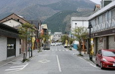 일본 벚꽃여행, 반드시 성공하는 방법 일본 벚꽃여행,반드시 성공하는 방법