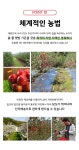 농협몰 [대구경북능금농협] 프리미엄 사과 3kg(9-12과)