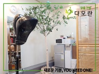 다모란 안양점 (2023) | 최신 탈모 예방/개선/가발/의약품/건기식 정보는 대다모에서! 다모란 안양점 (2023)