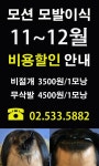 모션의원 1112월 할인비용 입니다 | 대한민국 1등 탈모 커뮤니티 대다모